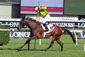 Gust Of Wind 1 11.04.15 AustralianOaks